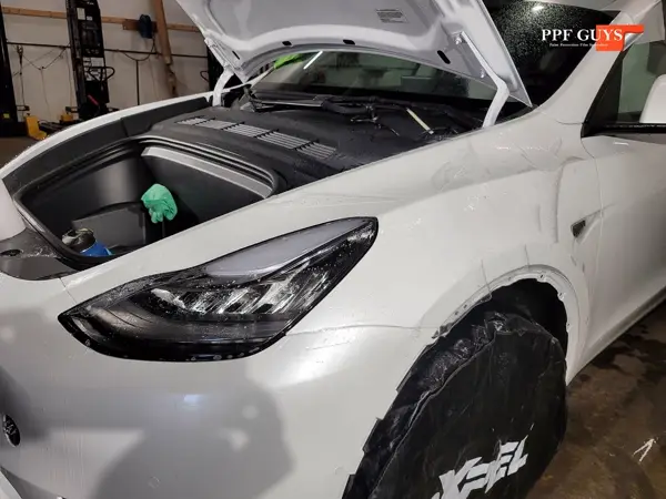 Tesla Model Y, PPF. Photo 12 of 28.