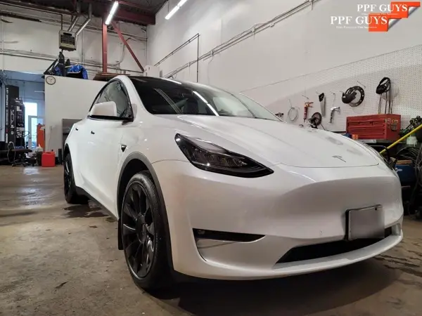 Tesla Model Y, PPF. Photo 21 of 40.