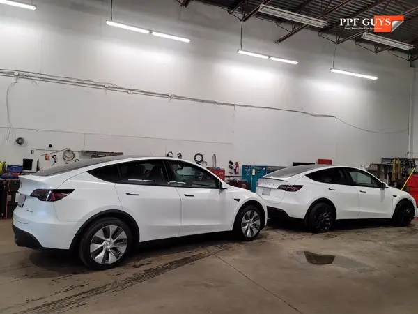 Tesla Model Y, PPF. Photo 11 of 28.