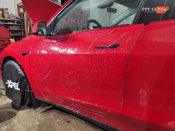 Tesla Model Y Performance, Full XPEL Ultimate Fusion. Photo 22 of 23.