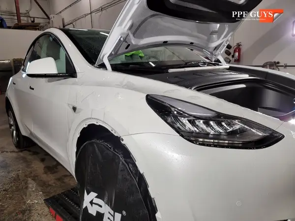 Tesla Model Y, PPF