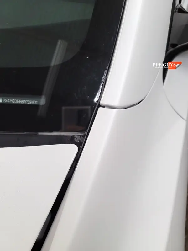 White Tesla Model Y, Full body XPEL Stealth satin finish PPF. Photo 18 of 54.