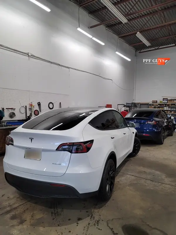 White Tesla Model Y, Full body XPEL Stealth satin finish PPF. Photo 21 of 54.