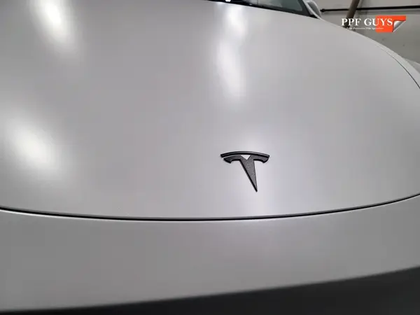 White Tesla Model Y, XPEL Stealth, ceramic, painted emblems. Photo 27 of 34.