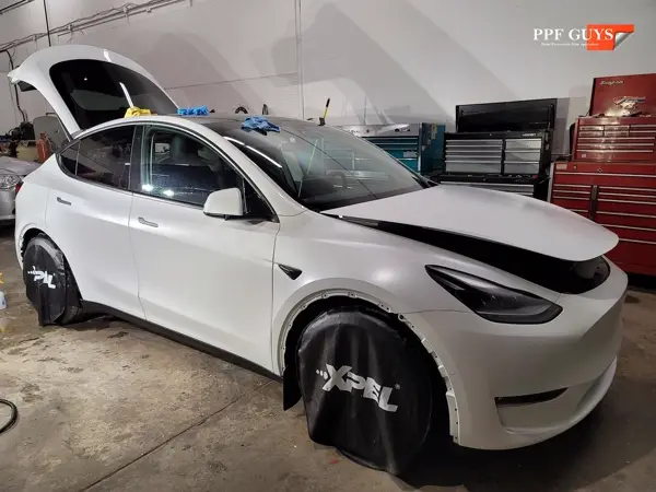 Tesla Model Y Performance, Stealth. Photo 9 of 45.
