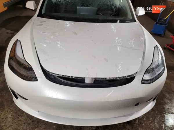 Tesla Model 3 and Model Y, PPF. Photo 18 of 23.