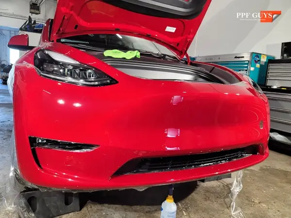 Tesla Model Y Performance, Full XPEL Ultimate Fusion. Photo 12 of 23.