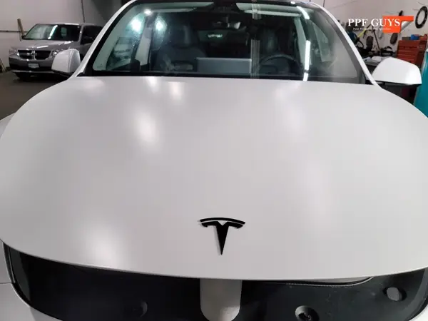 White Tesla Model Y, XPEL Stealth, ceramic, painted emblems. Photo 24 of 34.