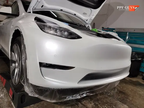 Tesla Model Y, Stealth