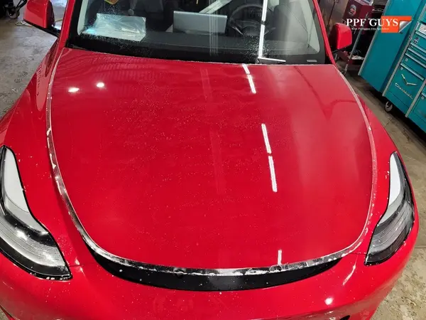 Tesla Model Y Performance, Full XPEL Ultimate Fusion. Photo 18 of 23.