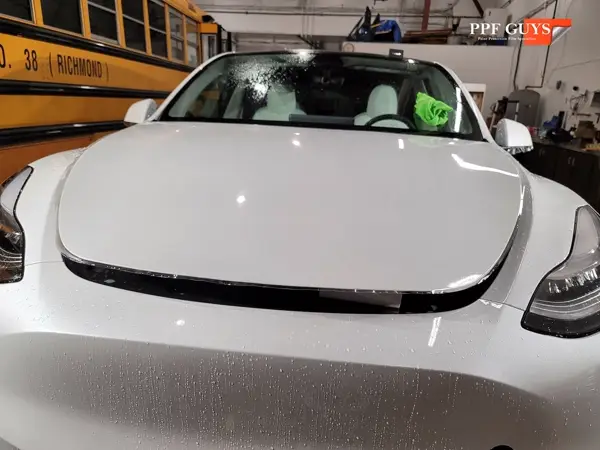 Tesla Model 3 and Model Y, PPF. Photo 12 of 23.