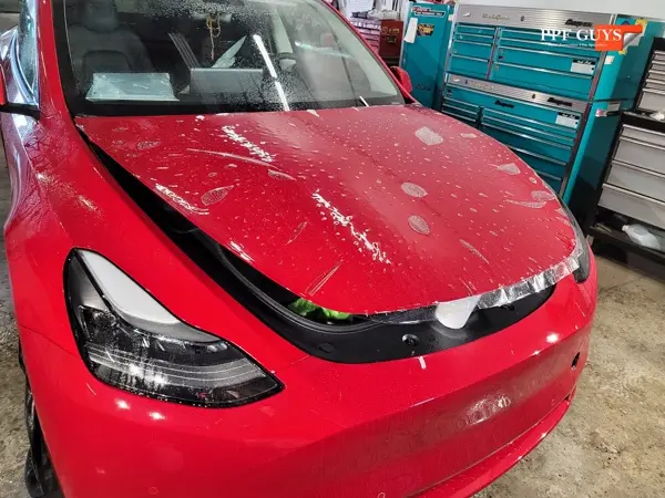 Tesla Model Y Performance, Full XPEL Ultimate Fusion. Photo 17 of 23.