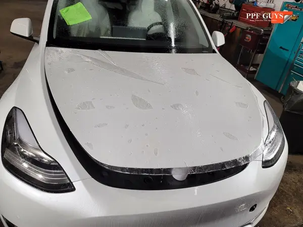 Tesla Model Y, PPF