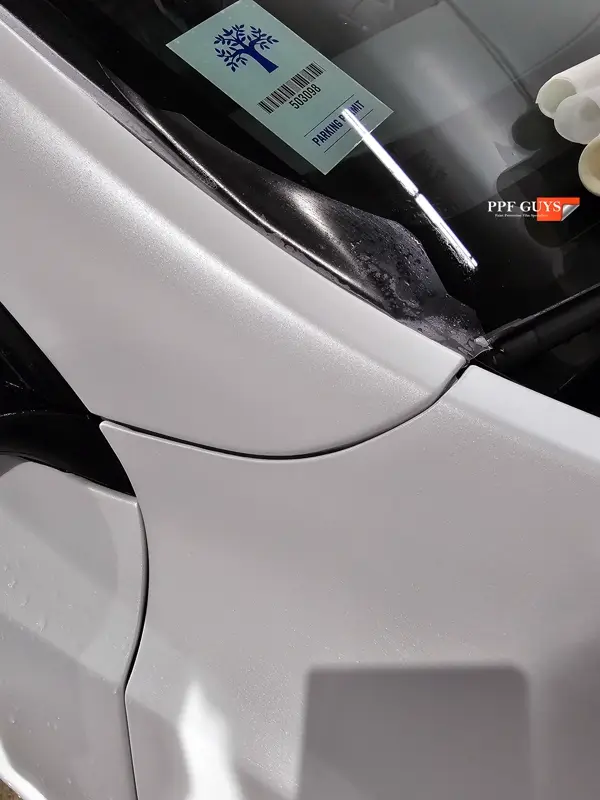 White Tesla Model Y Performance, Stealth, emblems. Photo 42 of 60.