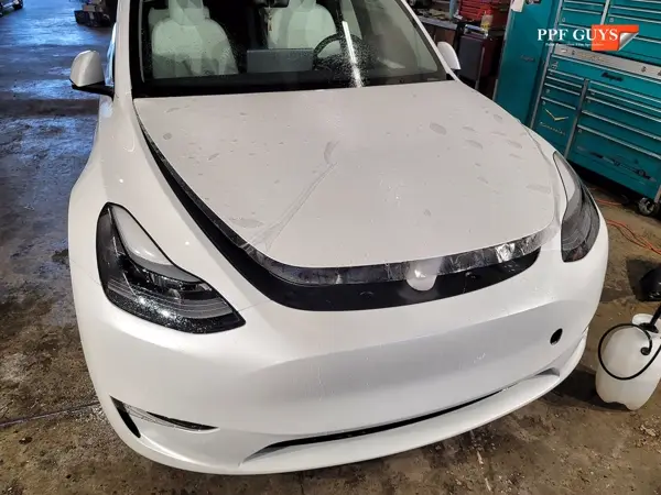 Tesla Model Y Long Range, XPEL Stealth. Photo 23 of 37.