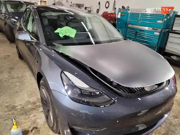Tesla Model 3, XPEL Stealth. Photo 67 of 70.