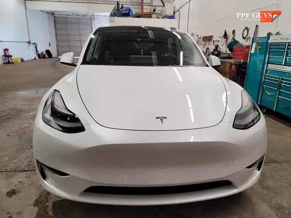 Tesla Model Y, PPF. Photo 13 of 28.