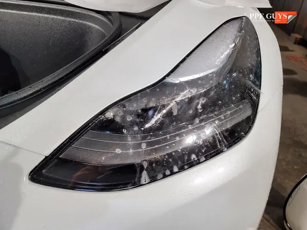Tesla Model Y, PPF. Photo 21 of 28.