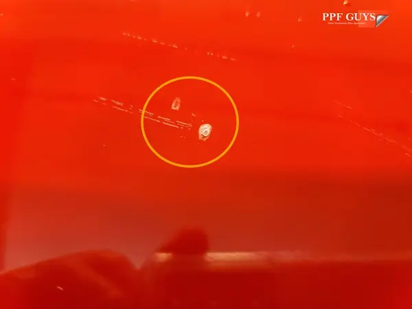 PPF rock chips, No paint damage