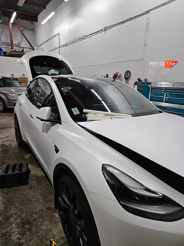 White Tesla Model Y Performance, Stealth, emblems. Photo 45 of 60.