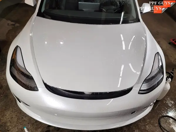 Tesla Model 3 and Model Y, PPF. Photo 19 of 23.