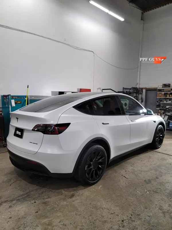 White Tesla Model Y, Full body XPEL Stealth satin finish PPF. Photo 34 of 54.