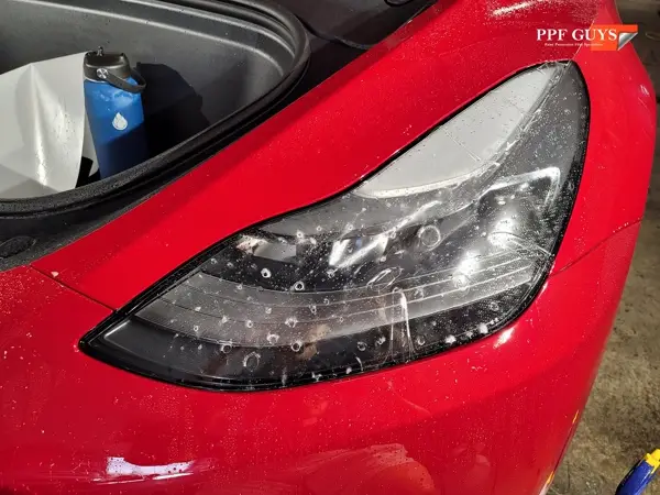 Tesla Model Y Performance, Full XPEL Ultimate Fusion. Photo 21 of 23.