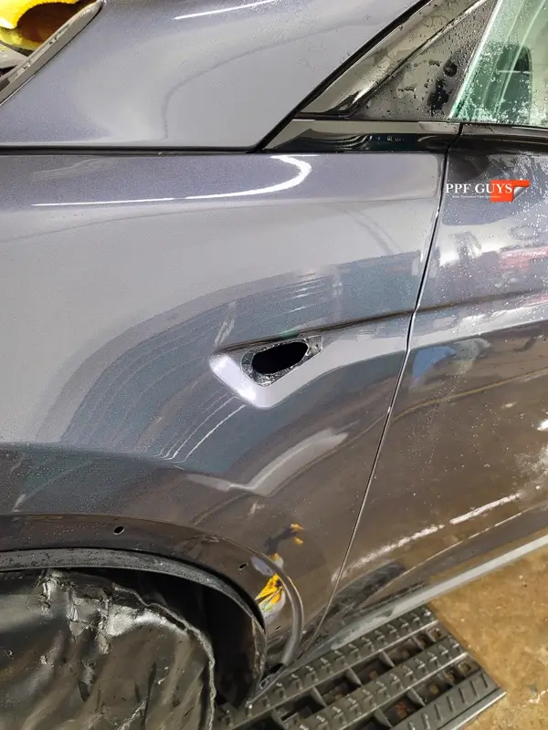 Silver Tesla Model X, PPF. Photo 15 of 18.