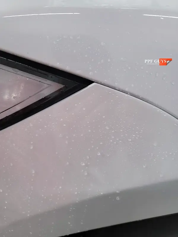White Tesla Model X, Front end, rear bumper. Photo 14 of 15.