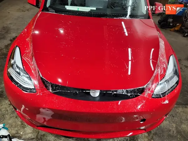 Tesla Model Y, Full PPF and ceramic coating. Photo 22 of 26.