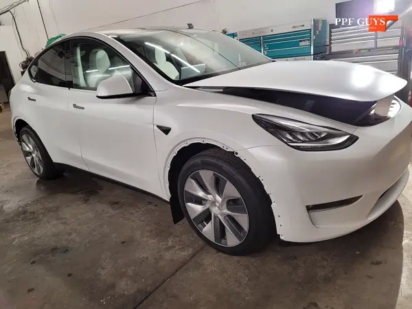 Tesla Model Y, Stealth. Photo 11 of 11.