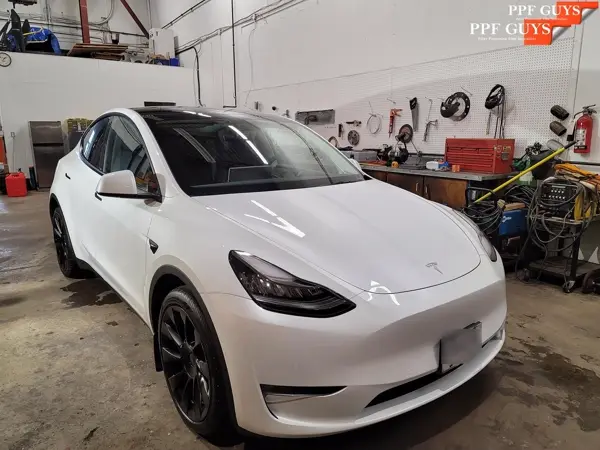 Tesla Model 3 and Model Y, PPF. Photo 13 of 23.