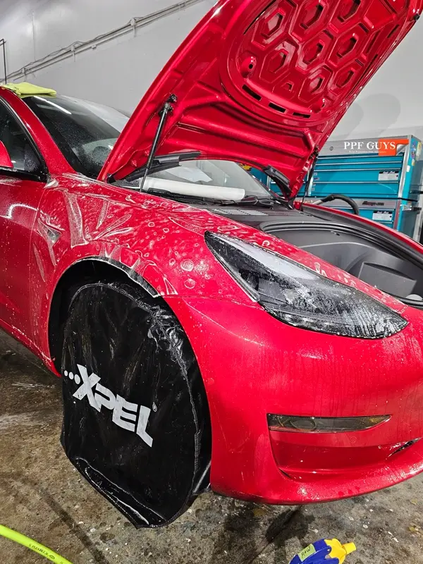 Red Tesla Model 3, Front end, partial A-pillars and rockers. Photo 22 of 30.