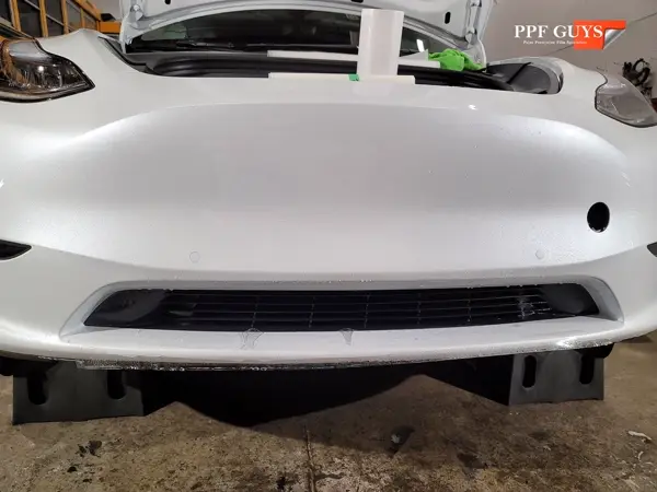 Tesla Model 3 and Model Y, PPF. Photo 16 of 23.