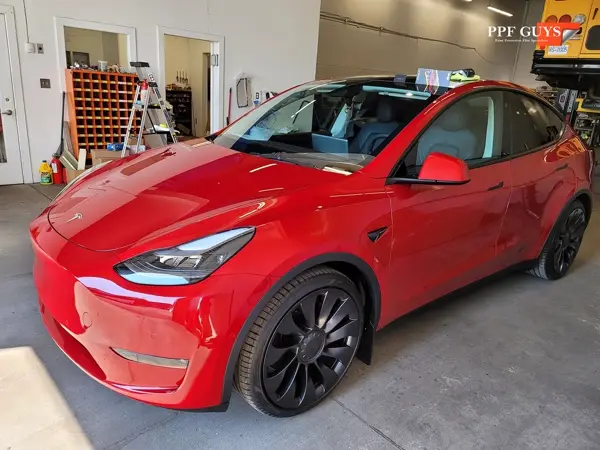Tesla Model Y Performance, Full XPEL Ultimate Fusion. Photo 16 of 23.