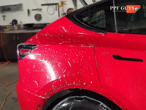 Tesla Model Y, Full PPF and ceramic coating. Photo 9 of 26.