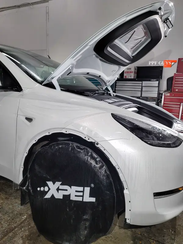 White Tesla Model Y, Stealth. Photo 34 of 42.
