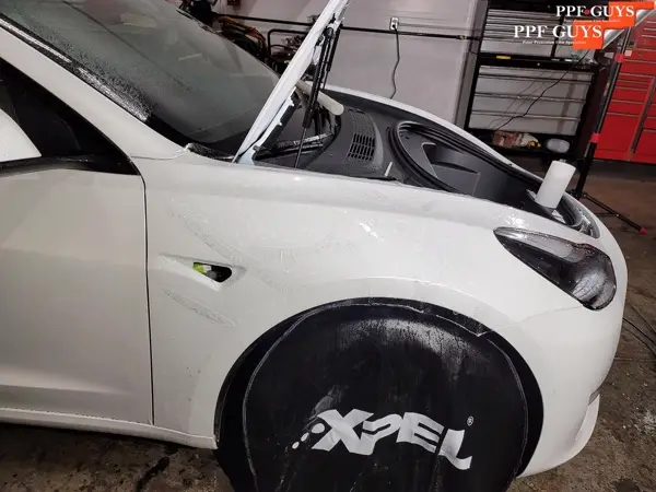 Tesla Model 3 and Model Y, PPF. Photo 17 of 23.