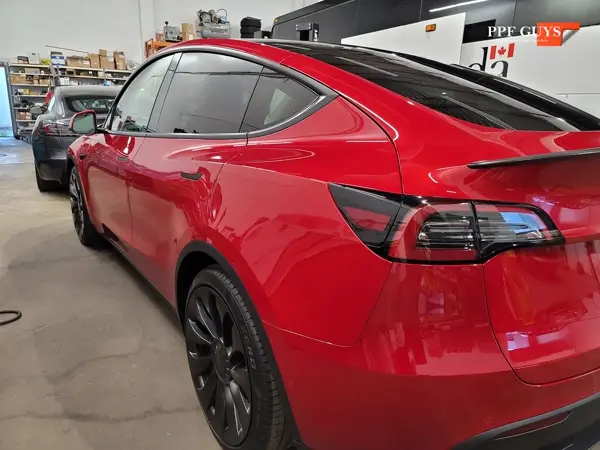 Tesla Model Y Performance, Full XPEL Ultimate Fusion. Photo 10 of 23.