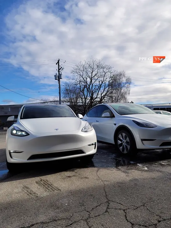 White Tesla Model Y, Stealth. Photo 14 of 42.