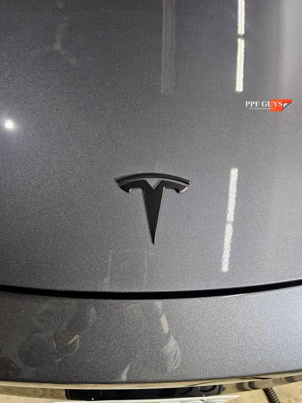 Silver Tesla Model Y, Full body Ultimate Fusion, blacked out emblems. Photo 40 of 45.