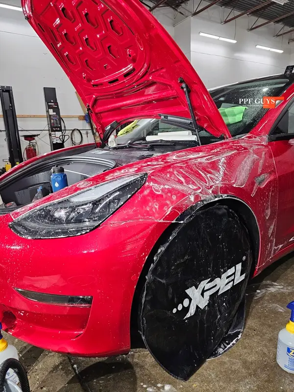 Red Tesla Model 3, Front end, partial A-pillars and rockers. Photo 15 of 30.