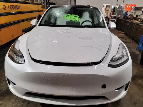 Tesla Model 3 and Model Y, PPF. Photo 11 of 23.