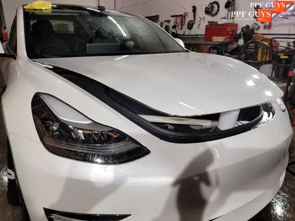 Tesla Model 3 and Model Y, PPF. Photo 20 of 23.