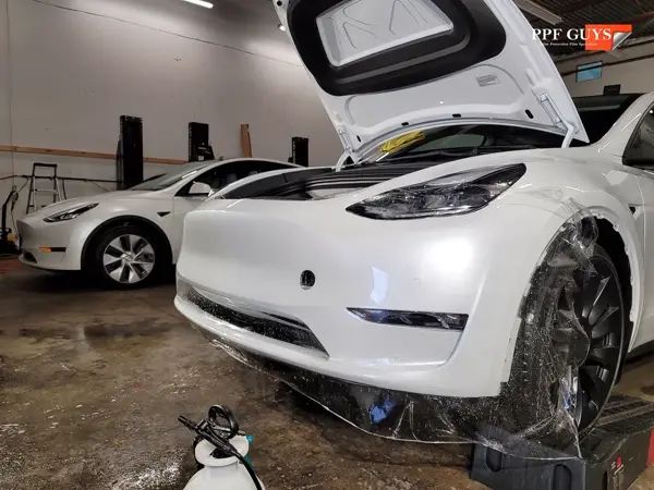 Tesla Model Y, PPF. Photo 17 of 28.