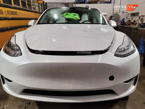 Tesla Model 3 and Model Y, PPF. Photo 10 of 23.