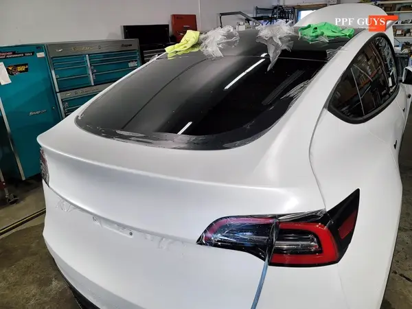 White Tesla Model Y, XPEL Stealth, ceramic, painted emblems. Photo 21 of 34.