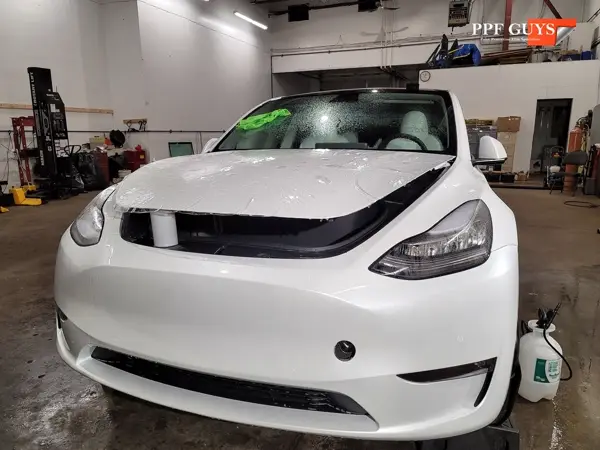 Tesla Model Y, PPF. Photo 9 of 15.