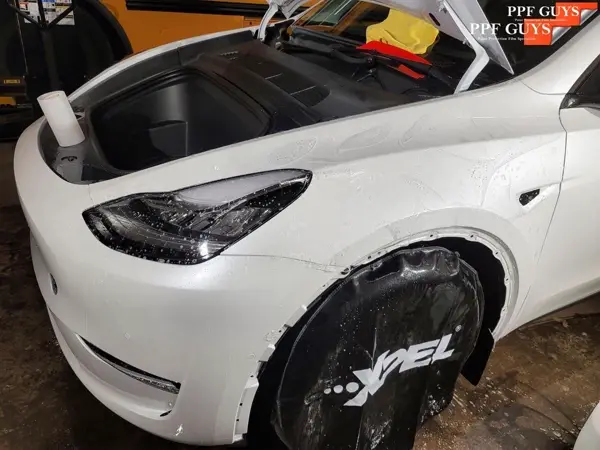 Tesla Model Y, PPF. Photo 22 of 40.