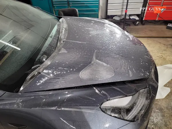 Silver Tesla Model 3, Front end and rear fenders. Photo 9 of 16.